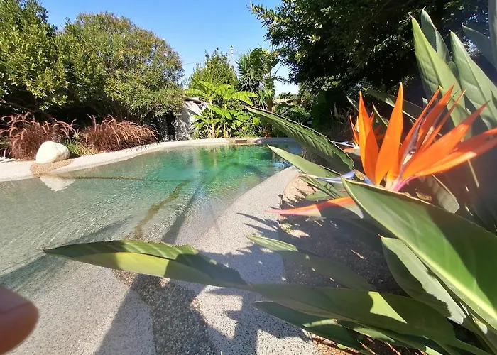 Au Lagon De Thau * Frontignan