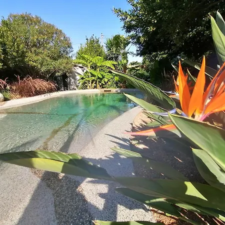 Au Lagon De Thau * Frontignan